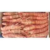阿根廷红虾