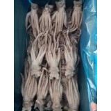 鱿鱼圈 章鱼须 鱿鱼须  龙珠串