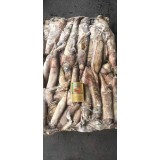 印度洋鱿鱼  印度洋鱿鱼籽