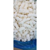 手把串，木鱼花.去皮鱿鱼筒，笔管鱼，海灵菇，全籽鱿鱼.八爪鱼