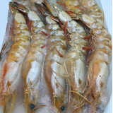 海捕对虾