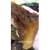 极品野生海蜇头