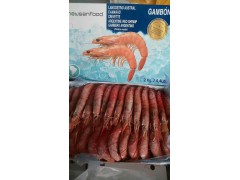 L2阿根廷红虾