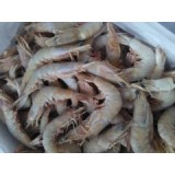 野生海捕虾