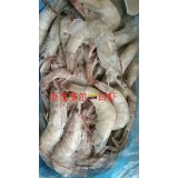 厄瓜多尔白虾
