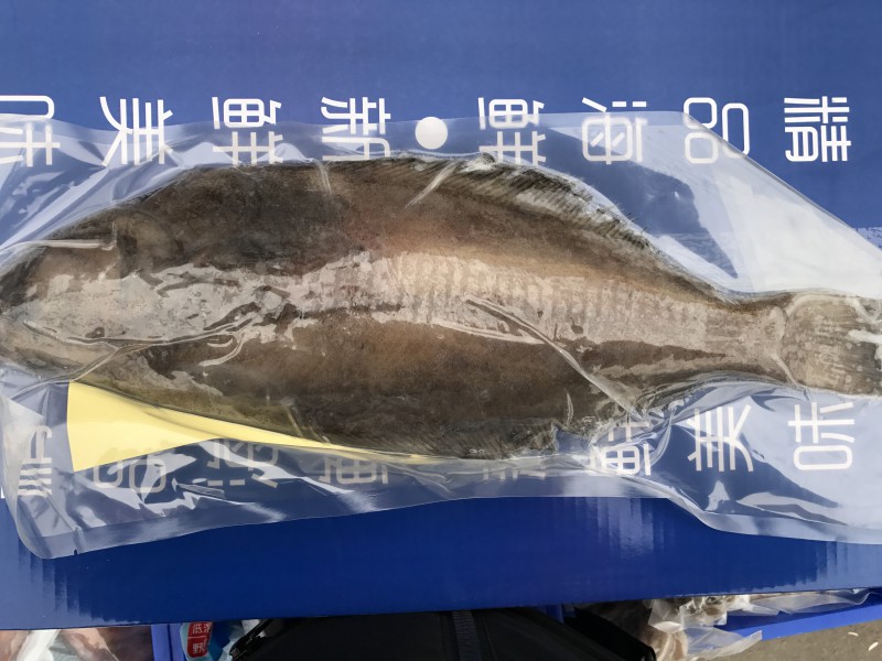 微信图片_201908051240214