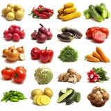 蔬菜系列