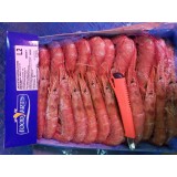 阿根廷红虾，1号，2号