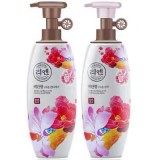 韩国丽人洗发水/护发素