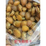 野生鲍鱼干