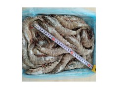 泰国红爪海虾