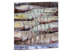 印尼虎虾