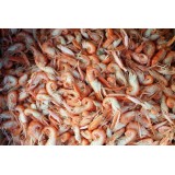 泰国红爪海虾