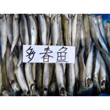 多春鱼