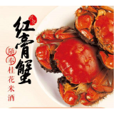 兴化生态红膏蟹