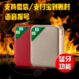 专业 教学扩音器系列