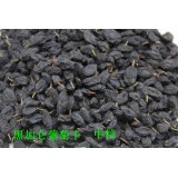 黑加仑葡萄干  中粒