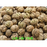 云南大麻子核桃