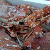 海之翼厂家直销