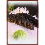 海之翼厂家直销