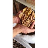 黄山野生干笋尖