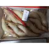 各种规格礼盒虾