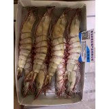 缅甸虎虾；1X10盒x1Kg