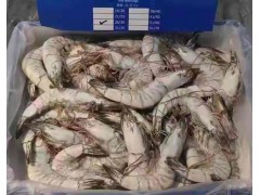 泰国虾