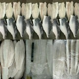 鱼产品系列