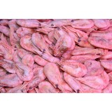 各种鱼、虾系列