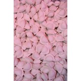 水饺、手抓饼等面食系列