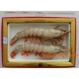 对虾  礼品虾  大虾