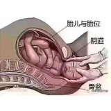 臻月子服务中心