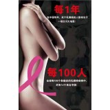 臻月子服务中心