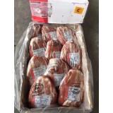 乌拉圭实心龟健