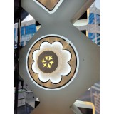 型号：438 （直径：20厘米、带镜面效果 双色）