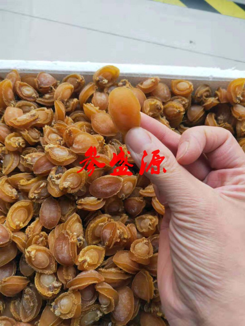 干鲍鱼肉30-1000头
