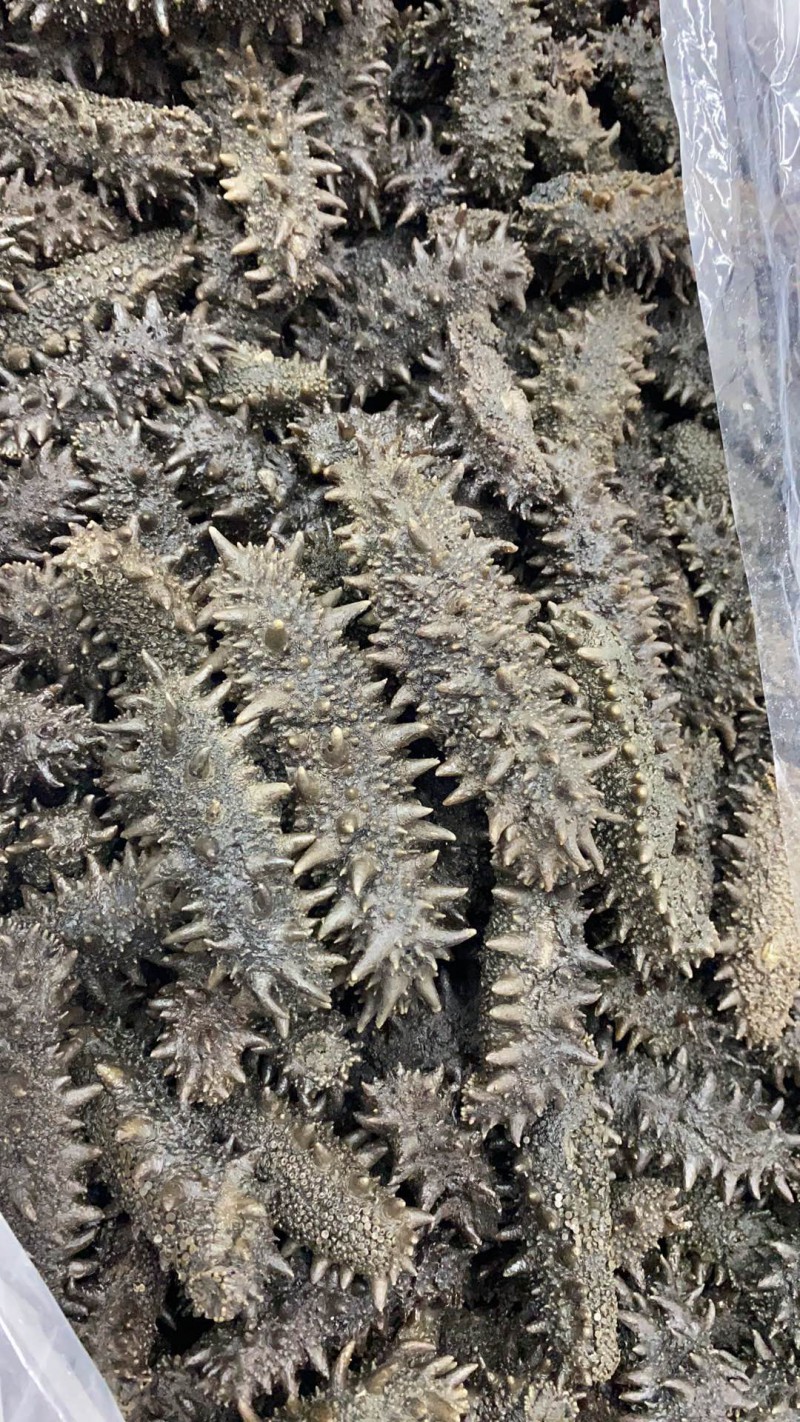 红参拉缸盐