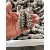 大连老淡干20~100头