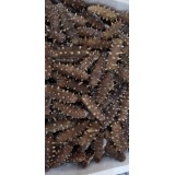 福建即食4~70头