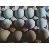咸鸭蛋