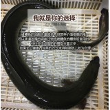 鳗鱼