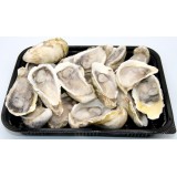生蚝