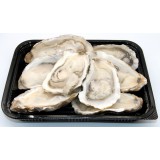 生蚝（大号）