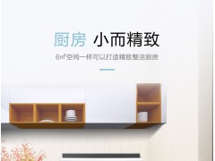 M1大吸力消毒柜集成灶