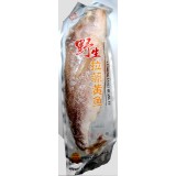 野生拉菲黄鱼