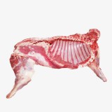新鲜羊肉