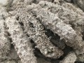 福建老淡干0添加