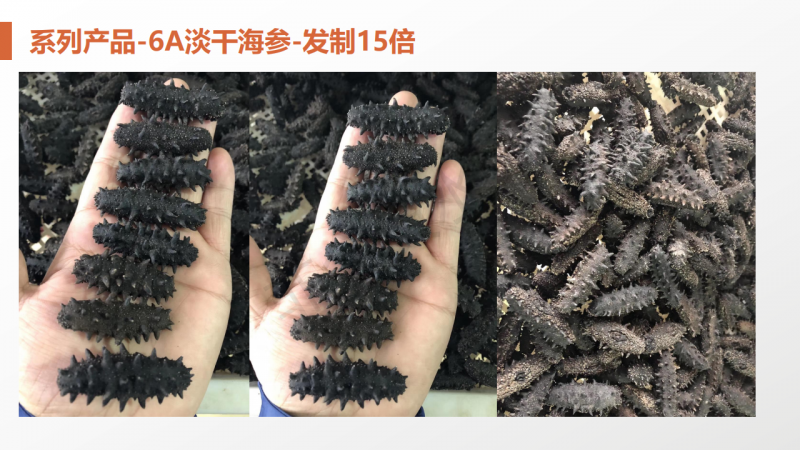 微信图片_202006041545392