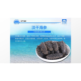 淡干海参及特点